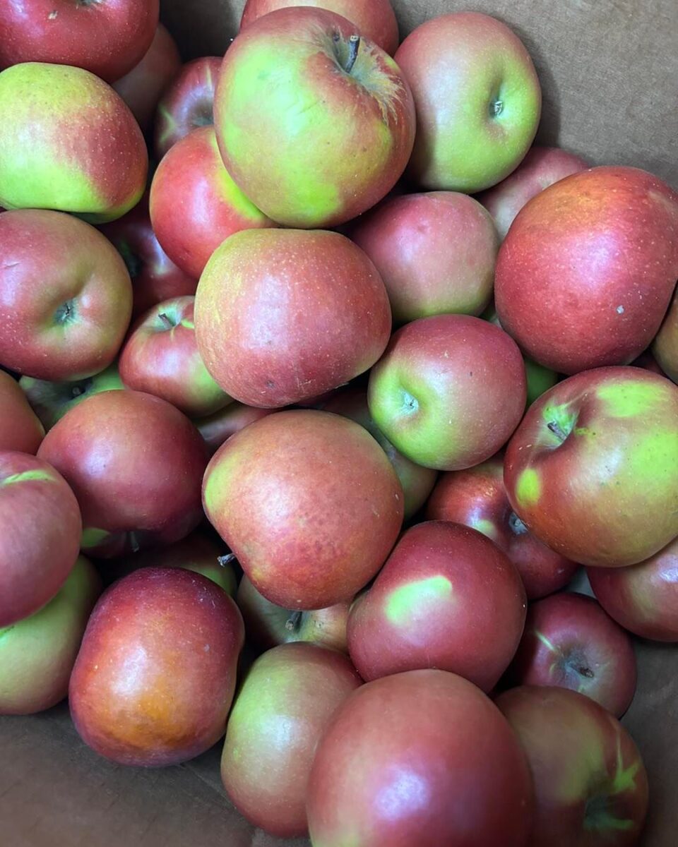 A box filled with several red and green apples, some with a mix of both colors.