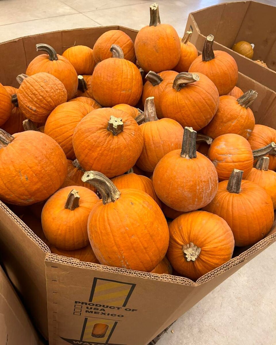 A large cardboard box filled with small orange pumpkins on display in a store.